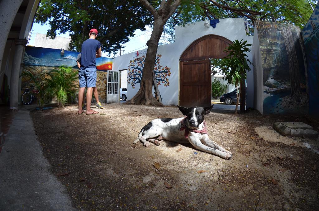 Hostel Ka Beh Cancún Exteriör bild