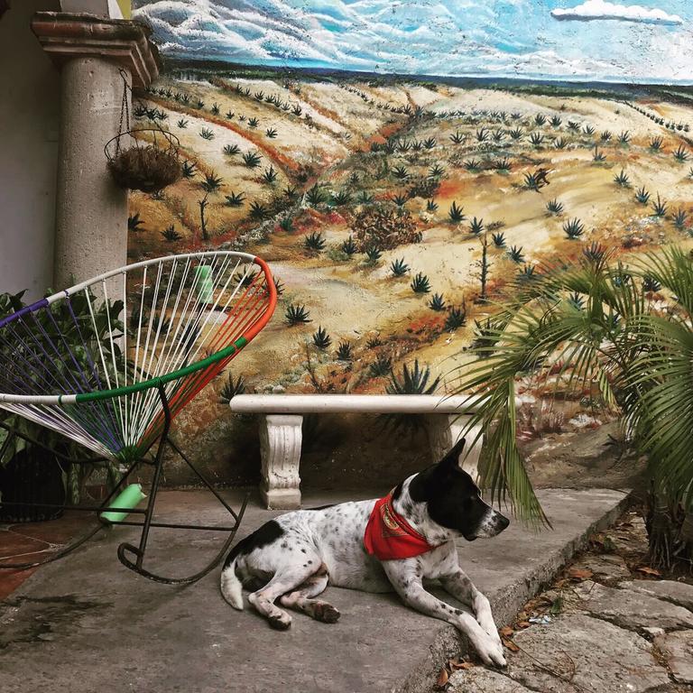Hostel Ka Beh Cancún Exteriör bild